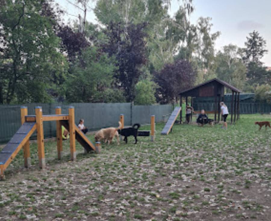 Oplotený výbeh pre psov - Drieňová