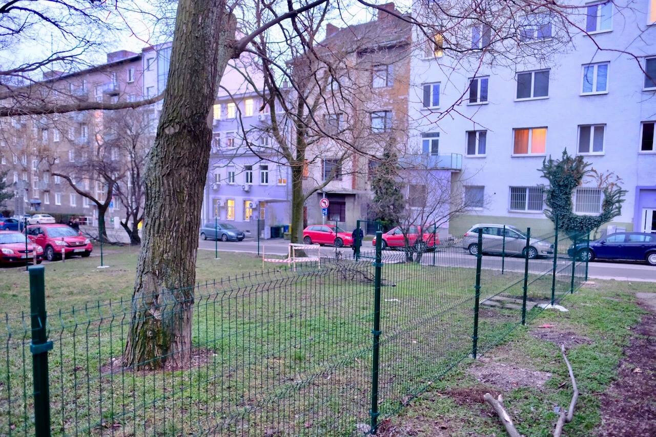 Výbeh pre psov - Palárikova